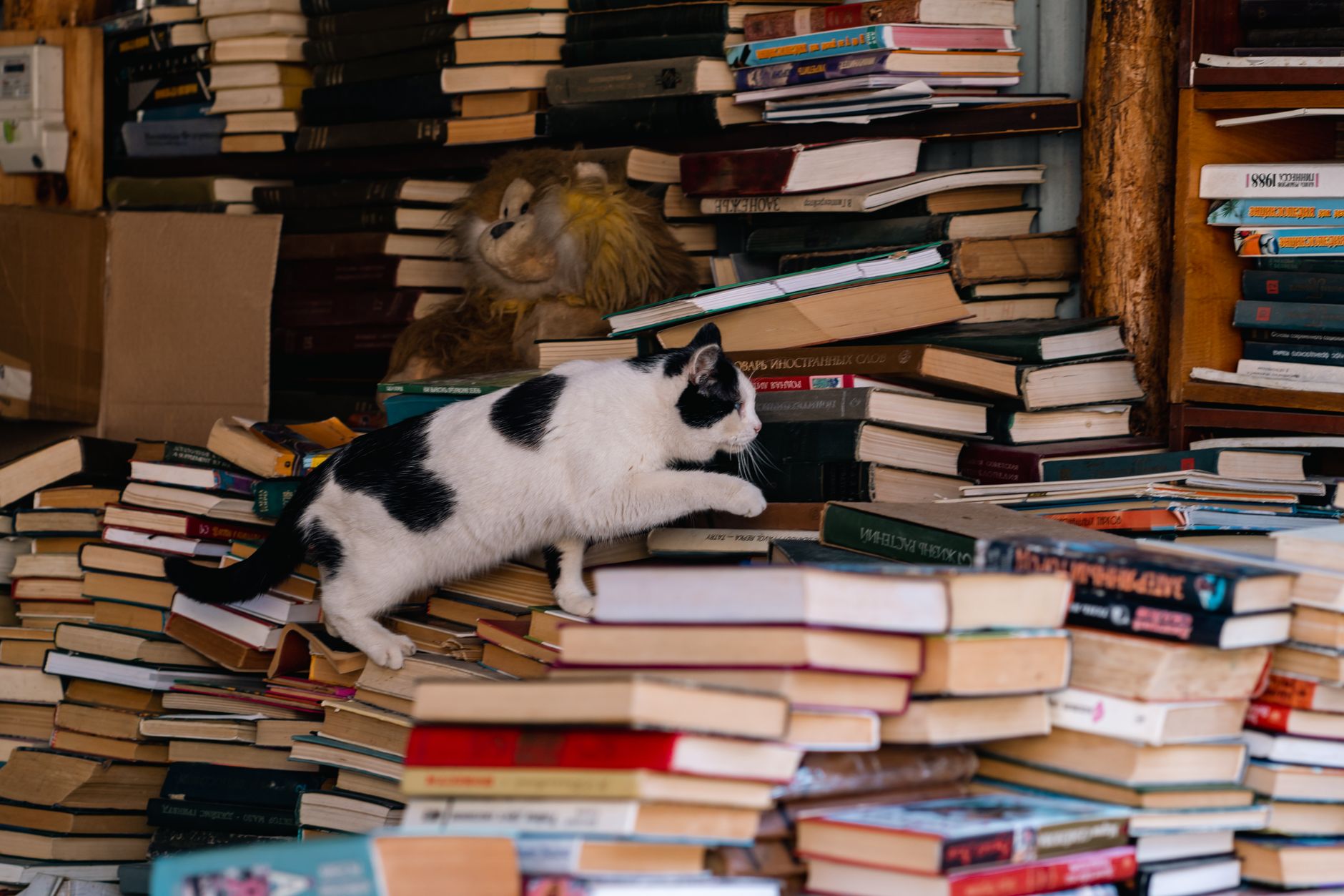 Libros apilados en un escritorio de trabajo